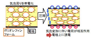 積水化学工業、圧電センサーを開発 - ウェアラブル機器による体調管理等