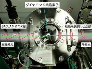 理研とJASRI、SACLAにてX線自由電子レーザーの円偏光に成功