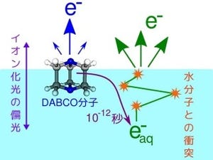 液体表面近くで起こる電子移動反応をフェムト秒スケールで観測 - 京大など