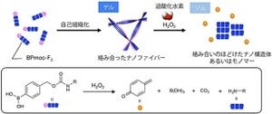 京大など、複雑な生体分子を識別して溶けるゲル状物質を開発