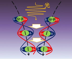 産総研、分子間や原子間で働く弱い凝集力を光の照射で増強できると予測