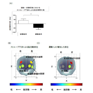 軽い運動を10分間するだけで認知機能は向上する!? - 中央大などが確認