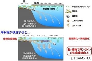 海氷減少が続くと将来は北極海が一大漁場になる? - JAMSTECなどが発表