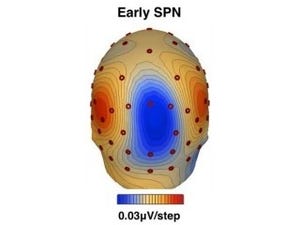 東工大、脳が他者の顔を見る前から活動していることを脳波から確認