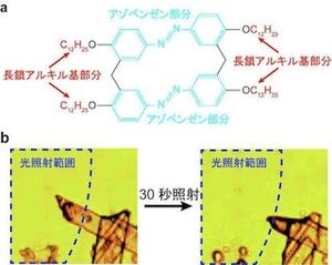 東工大、有機結晶が光で溶けるメカニズムを解明