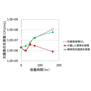 乳酸菌に浅漬けによる食中毒を防ぐ効果がある!? - 東京工科大が発見