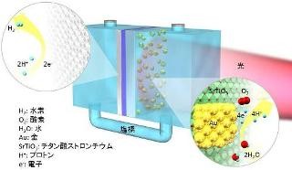 北大、650～850nmの可視・近赤外光も利用可能な人工光合成システムを開発