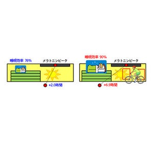 光の下での運動は生体リズムを調節