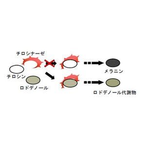 カネボウ、「白斑」問題の原因の一部を解明することに成功