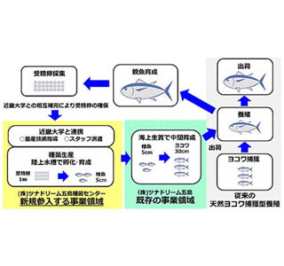 世界初、産学連携で近大マグロ量産へ