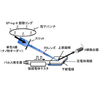 圧電体の特性測定！60年の問題に決着