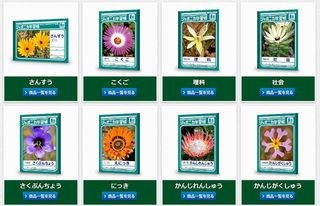 「ジャポニカ学習帳」、ノートとして初の立体商標登録へ