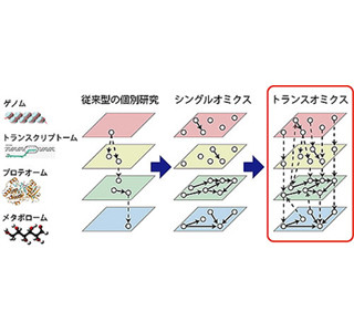 細胞のビッグデータで代謝地図を作製