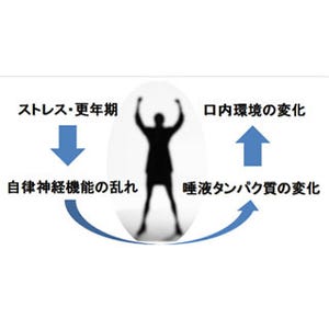 更年期症状など自律神経の乱れによる不調と唾液に関連性 - 花王