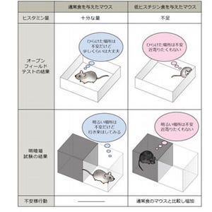 東北大、不安の改善には鰹や鶏肉に豊富なヒスチジンの摂取が有効と発表