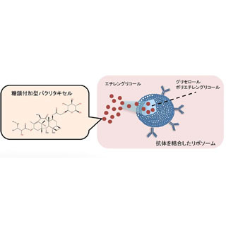 岡山大、副作用を抑えながら効率よくがんに治療薬を届ける技術を開発