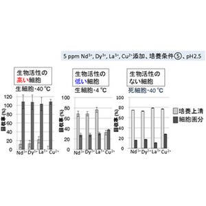 産総研など、硫酸性温泉紅藻がレアアースを効率的に吸収することを確認