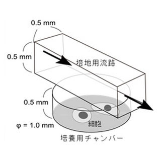 アークレイと京大、iPS細胞を1個から培養できる超小型培養装置を開発