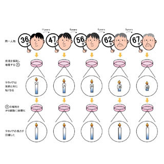 iPS細胞で肌細胞の老化を回復 - コーセーが研究に着手