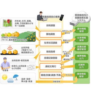 NECソリューションイノベータ、果菜栽培向け営農指導支援システムを発表