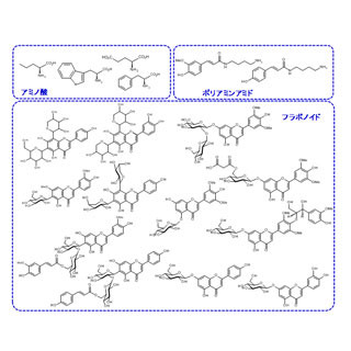 イネの品種差を作り出す遺伝子多型をゲノム解析で検出 - 理研と生物研