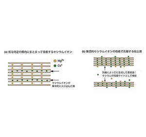 福島の土がセシウム取り込む仕組み解明