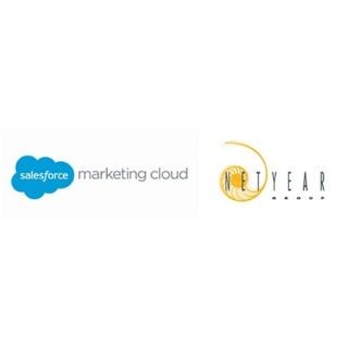 ネットイヤーグループ、Salesforce Marketing Cloudの活用サービスを開始