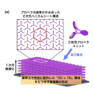 東工大など、cm規模の面積で高品質の有機薄膜を形成することに成功