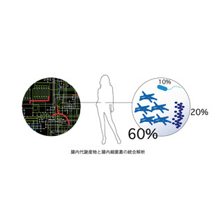 仁丹、生きて腸に届いたビフィズス菌が腸内環境に及ぼす影響の研究を開始