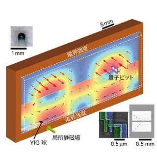 東大、ミリメートルサイズの磁石が量子力学的に振る舞うことを発見