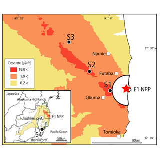 福島第一原発近くの放射線量が高い地域でモミの形態変化が増加 - 放医研