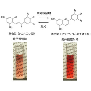 東京工科大、天然色素を利用して光の照射で色が変化する機能性材料を開発