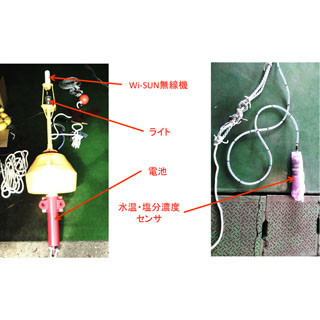 NICT、Wi-SUNをもずく養殖へ適用 - 水温・塩分濃度データを遠隔地で管理