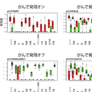 さまざまながんで異常発現するRNAを多数発見、バイオマーカー候補に - 理研