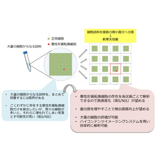 NIHSなど、再生医療用移植細胞中のがん細胞を超高感度に検出する方法を開発