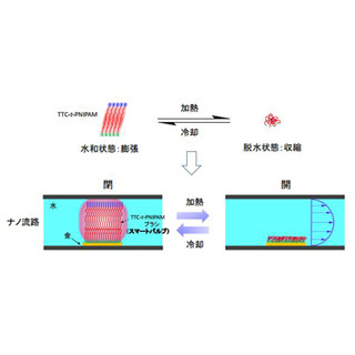 大阪府立大、ナノ流体チップで1兆分の1mlの水を自在に制御できる技術を開発