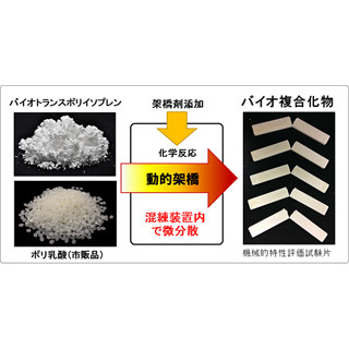 NEDOなど、杜仲由来の非可食性バイオマスで耐衝撃性と延性に優れた複合材料