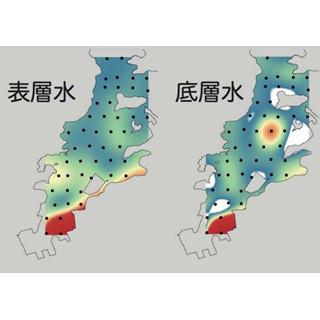 神戸大など、環境DNA解析法によって海洋中の魚群の分布や規模を明らかに