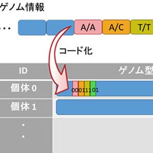 富士通研、データベース上でゲノム情報の解析処理を400倍高速化する技術