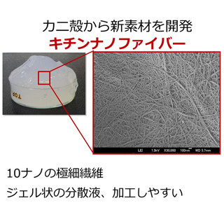 カニ殻が材料のナノファイバーにアトピー性皮膚炎の抑制効果 - 鳥取大