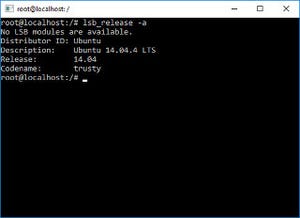 次期Windows 10でUNIXコマンドをネイティブサポート