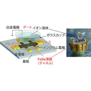 絶縁性FeSe薄膜利用で鉄系超伝導体の臨界温度が4倍に - 東工大発表