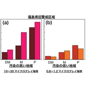 東北大、福島原発事故の被災牛の歯から放射性ストロンチウムを検出