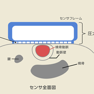 オムロン ヘルスケア、手首につける機器のみで1拍ごとの血圧を測れる技術