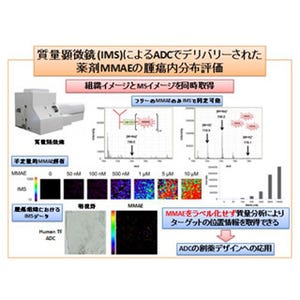 国がん、次世代がん治療薬ADCからの薬物放出・分布の直接観察に成功