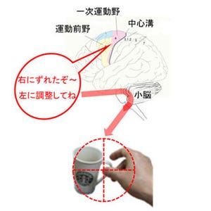 運動直後0.1秒以内に脳の運動野を電気刺激すると"照準"を変えられる - 阪大