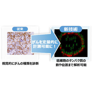 コニカミノルタ、パスツール研究所などとバイオイメージング技術の共同研究