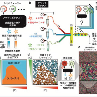 一度に1万通りの生化学反応を行い、最適条件を見出せる新手法 - 東大など