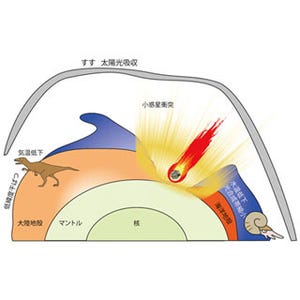 恐竜やアンモナイトの絶滅は小惑星衝突で発生したすすが原因 - 東北大ら