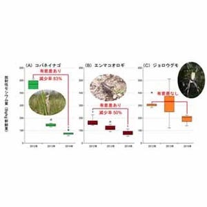 東農大、福島県中山間地の節足動物体内の放射性セシウム量の推移を明らかに